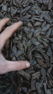 S3053167c255e4ccba4ca53ac4a27a0e4V 169x300