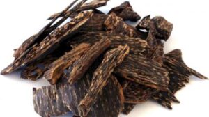 WhatsApp Image 2024 05 29 At 16.55.22 300x168