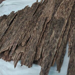 B61acd86 8e22 45c9 8b05 04af849a0c84 300x300