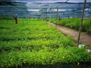 Photo 2025 12 24 09 15 21 300x225