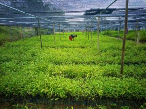 Photo 2025 12 24 09 15 30 300x225